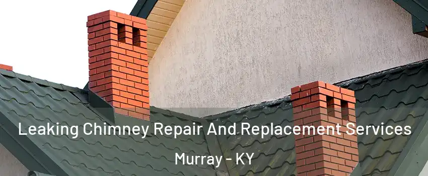  Leaking Chimney Repair And Replacement Services Murray - KY
