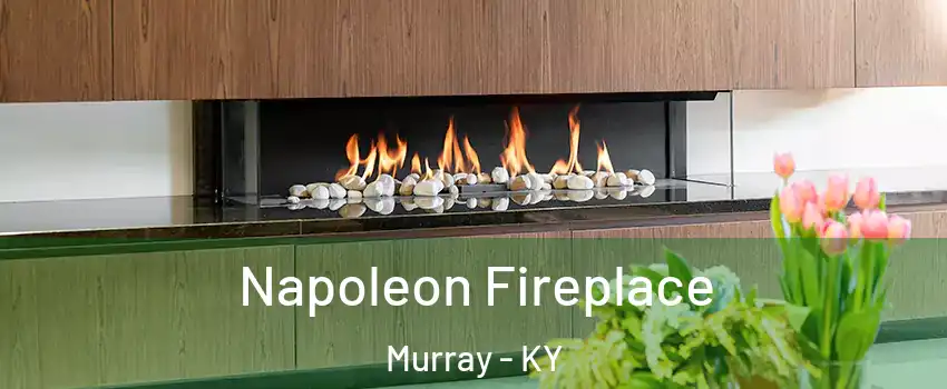  Napoleon Fireplace Murray - KY