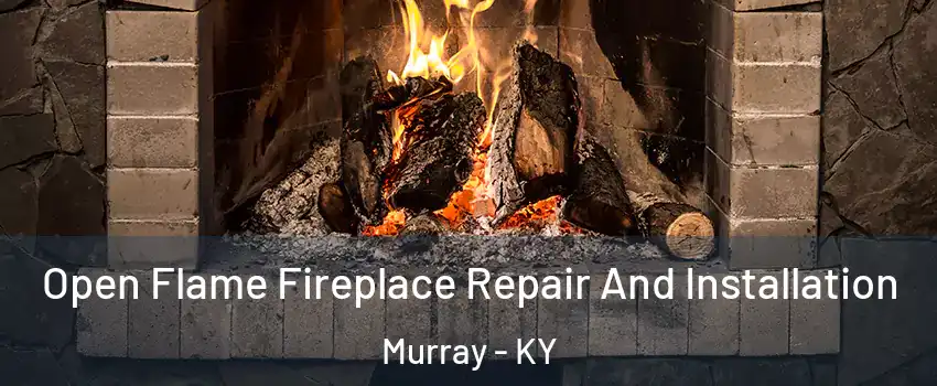 Open Flame Fireplace Repair And Installation Murray - KY