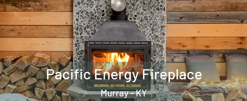  Pacific Energy Fireplace Murray - KY
