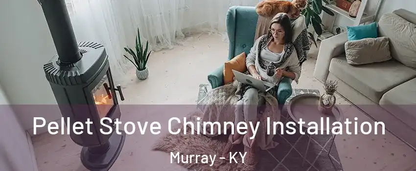  Pellet Stove Chimney Installation Murray - KY