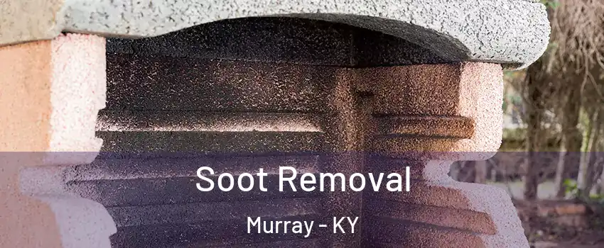 Soot Removal Murray - KY