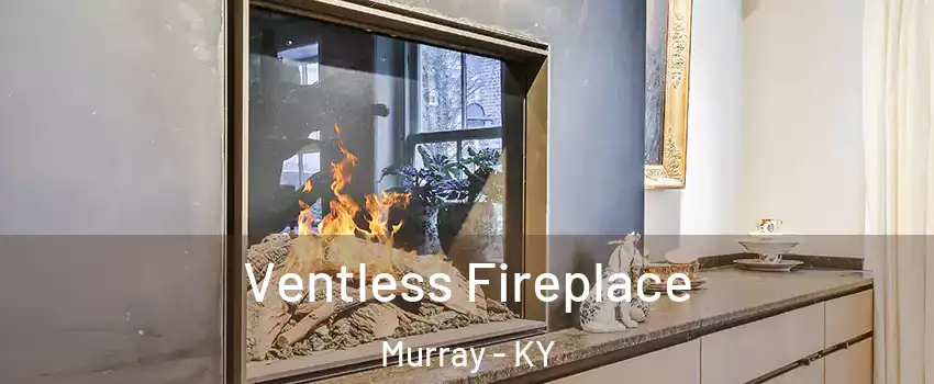  Ventless Fireplace Murray - KY