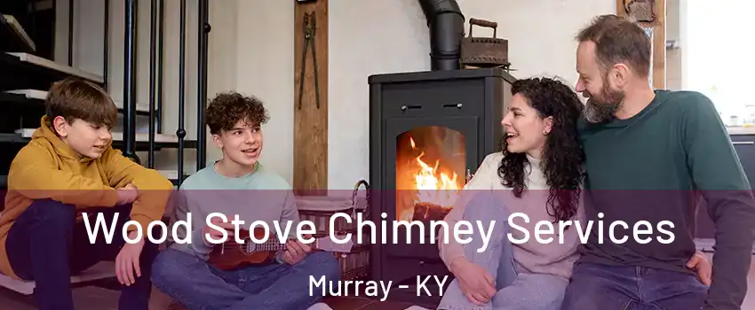Wood Stove Chimney Services Murray - KY