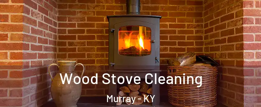 Wood Stove Cleaning Murray - KY