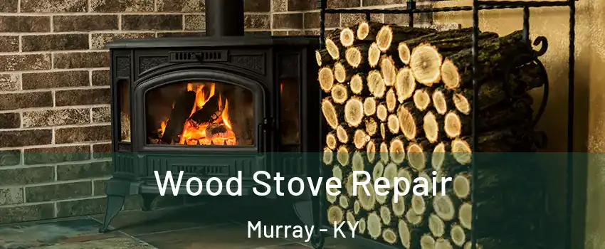  Wood Stove Repair Murray - KY